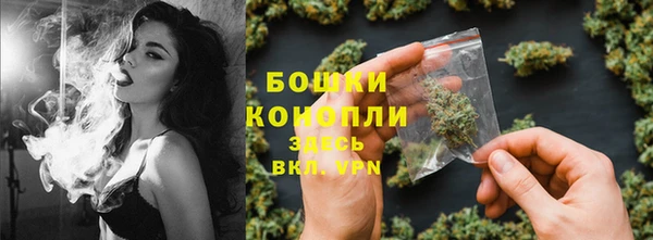 прущие крисы Медвежьегорск