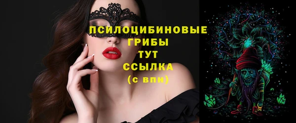 прущие крисы Медвежьегорск