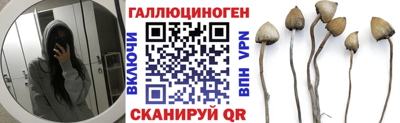 Купить закладки  Агрыз  Псилоцибиновые грибы мицелий 
